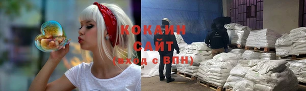 прущий лед Вяземский