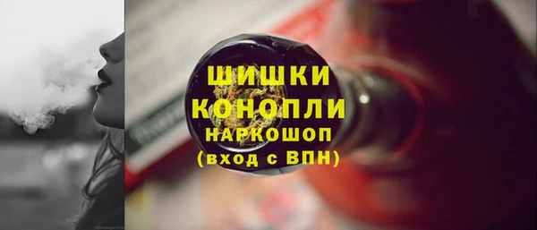 прущий лед Вяземский