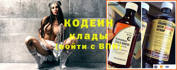 прущий лед Вяземский